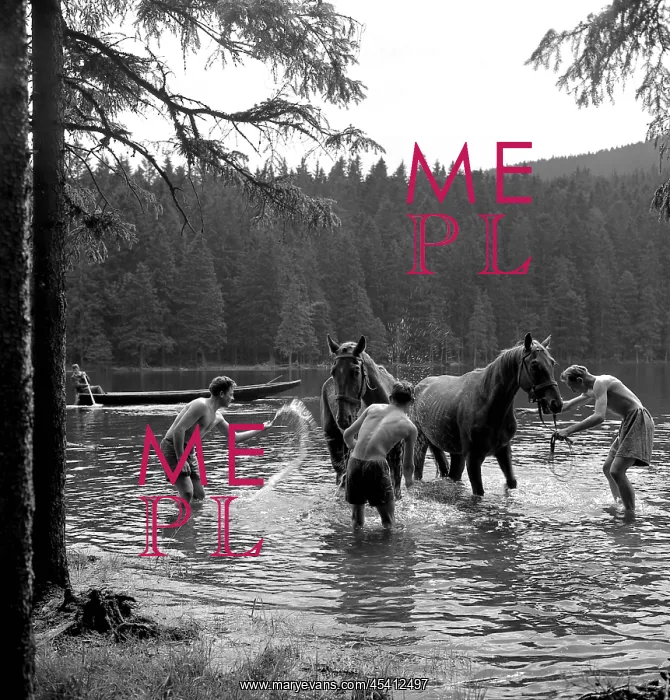 : Border patrol with horses : Border patrol with horses