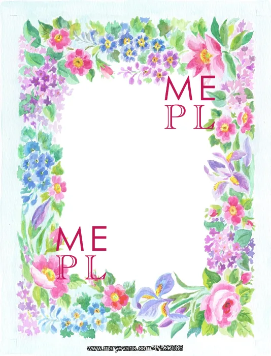: Border of pink, purple and blue flowers : Border of pink, purple and blue flowers