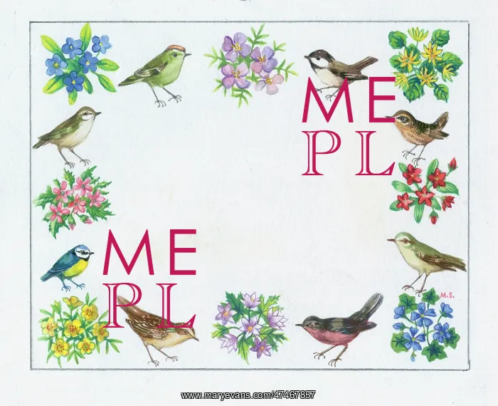  : Border with eight posies and eight birds