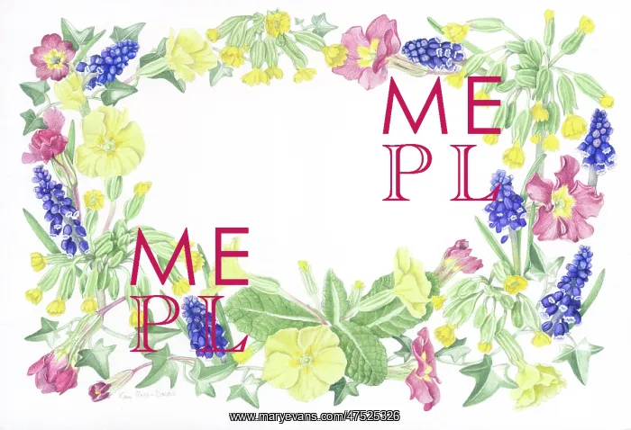 : Border of Primroses, Cowslips and Hyacinths : Border of Primroses, Cowslips and Hyacinths