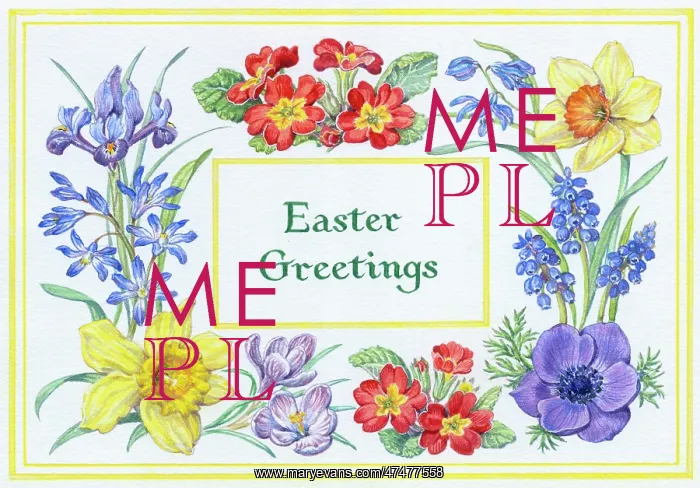 : Border of Primulas, Daffodils, Anemone etc : Border of Primulas, Daffodils, Anemone etc