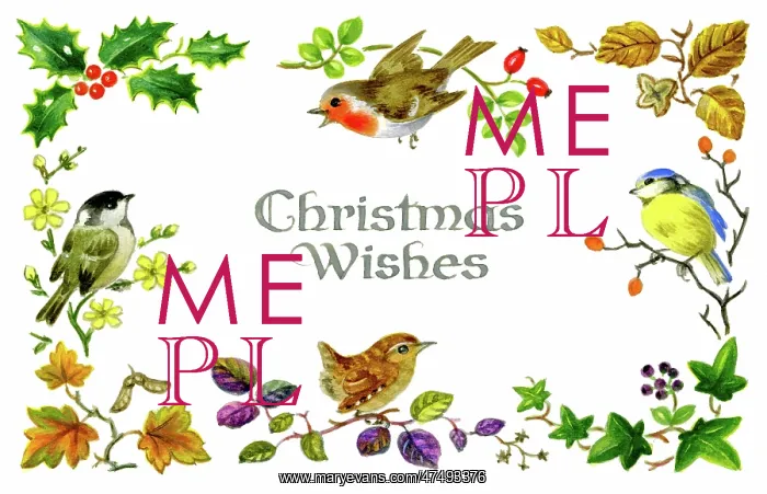 : Border with robin, blue tit, wren and sparrow : Border with robin, blue tit, wren and sparrow
