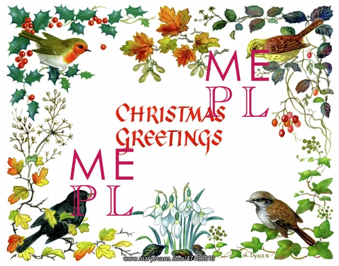 : Border with snowdrops, holly, ivy, and four birds : Border with snowdrops, holly, ivy, and four birds
