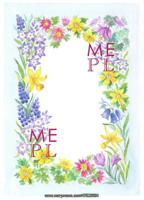 : Border of Spring Flowers : Border of Spring Flowers