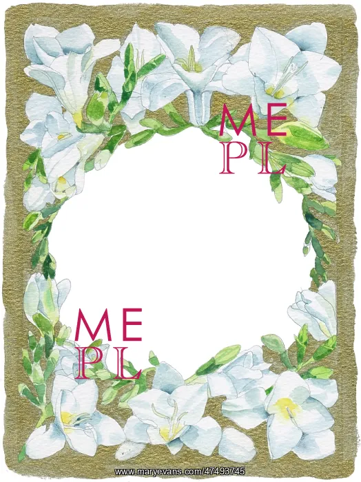  : Border with White Freesias