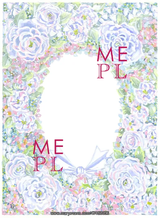 : Border of White Roses, Hydrangea etc : Border of White Roses, Hydrangea etc
