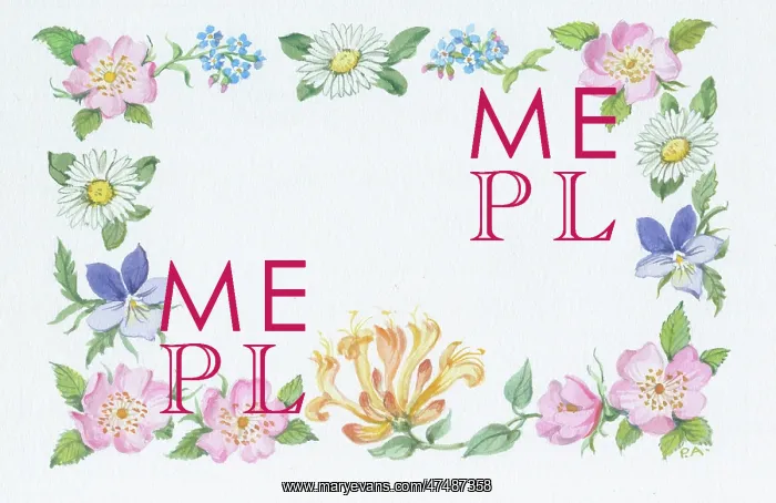  : Border of wild roses, honeysuckle, daisies, violets etc