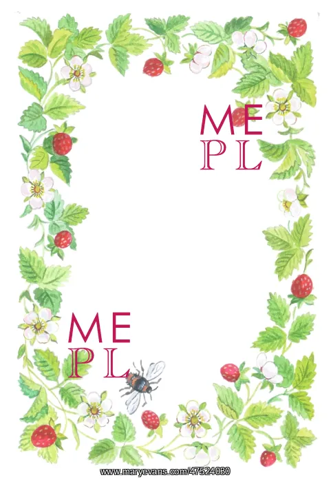: Border of Wild Strawberries and Bee : Border of Wild Strawberries and Bee