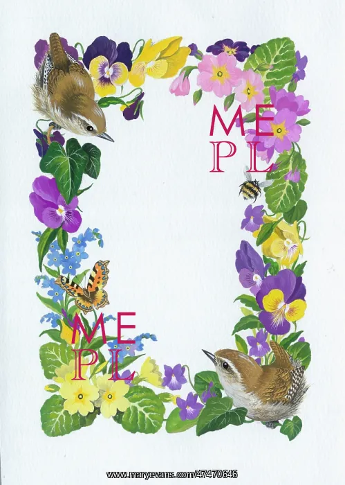 : Border with two wrens, a bee, a butterfly and flowers : Border with two wrens, a bee, a butterfly and flowers