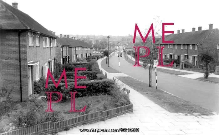  : Borehamwood, Gateshead Road c1965