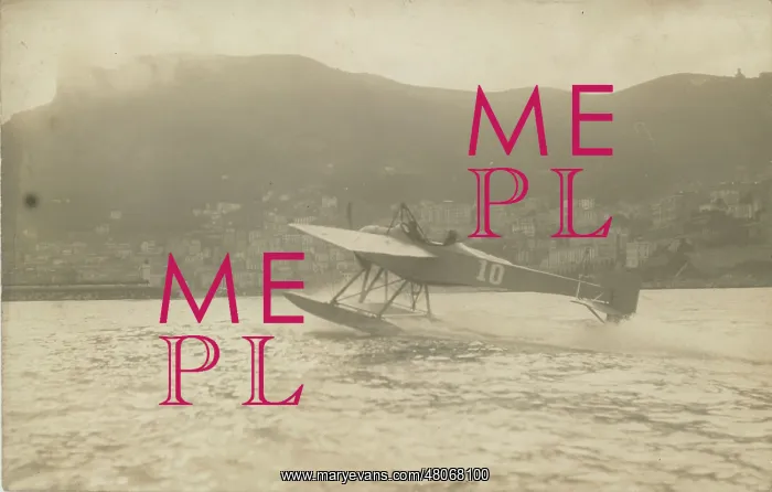 : Borel Hydro-monoplane at the Monaco Schneider Trophy : Borel Hydro-monoplane at the Monaco Schneider Trophy