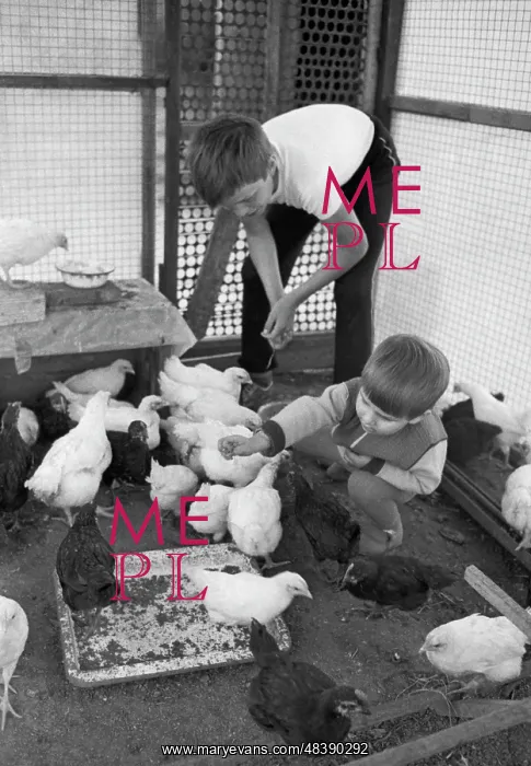 : Borets collective farm : Borets collective farm