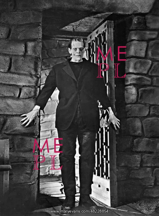 : Boris Karloff in Frankenstein, 1931 : Boris Karloff in Frankenstein, 1931