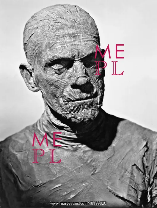: Boris Karloff in The Mummy, 1932 : Boris Karloff in The Mummy, 1932