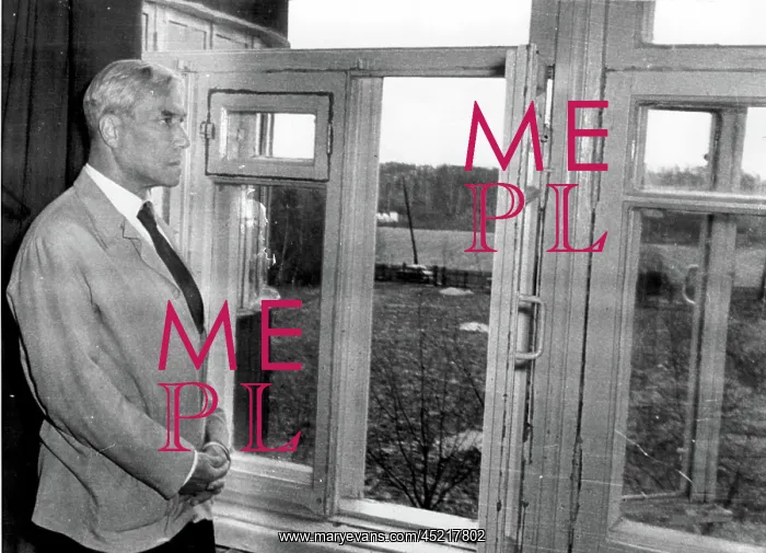 : BORIS PASTERNAK-The poet / author shown in ? : BORIS PASTERNAK-The poet / author shown in ?