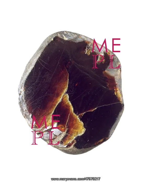 : Borneo amber : Borneo amber