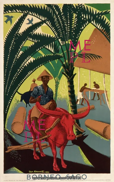 : Borneo Sago poster : Borneo Sago poster