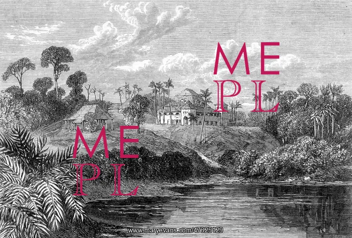  : BORNEO / SARAWAK 1864
