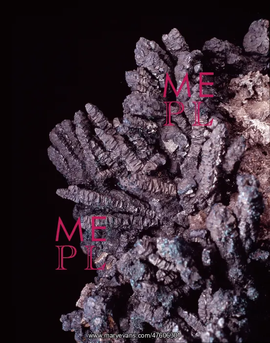  : Bornite (copper iron sulphide) is also known as peacock ore on account
