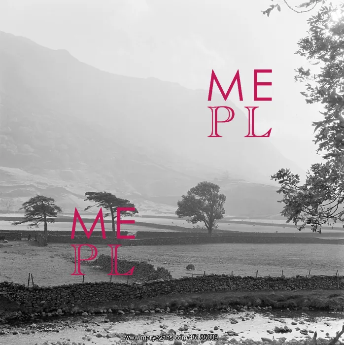 : Borrowdale, Cumbria : Borrowdale, Cumbria
