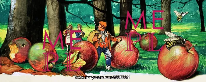  : The Borrowers