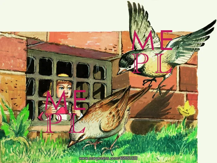  : The Borrowers