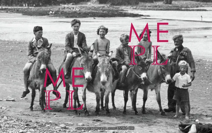  : Borth, the Donkeys 1952