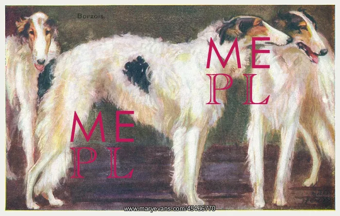 : Borzois. Painting of three borzoi dogs. Artist: Eileen Hood : Borzois. Painting of three borzoi dogs. Artist: Eileen Hood