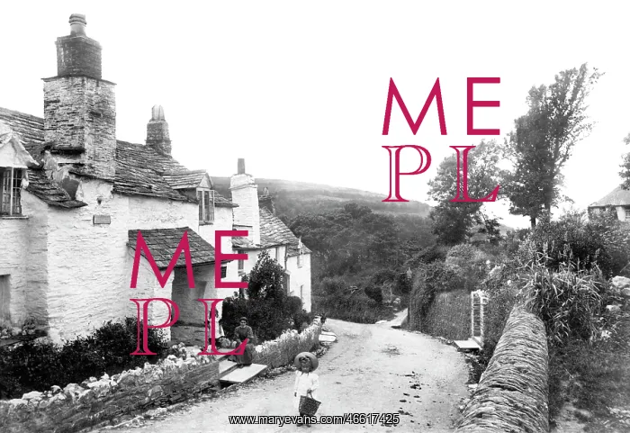  : Boscastle, the Village 1906