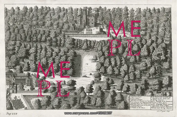  : BOSCOBEL WOODS 1651