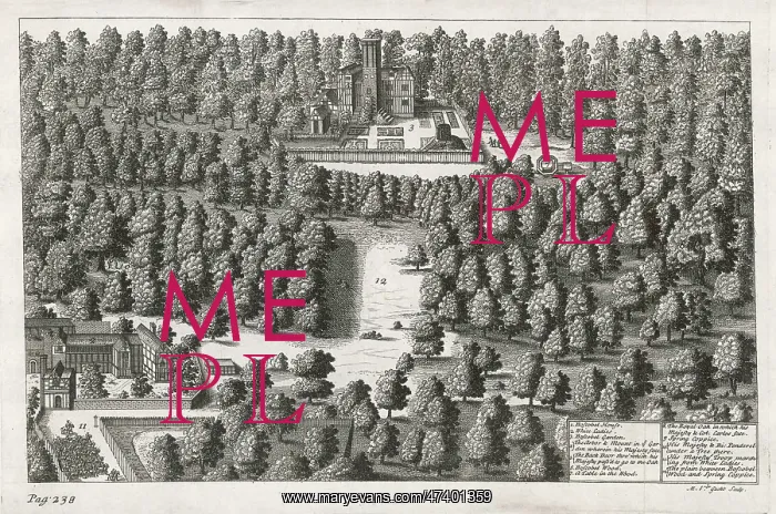 : BOSCOBEL WOODS 1651 : BOSCOBEL WOODS 1651