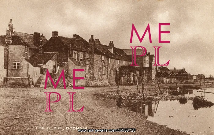 : Bosham, West Sussex - The Shore : Bosham, West Sussex - The Shore