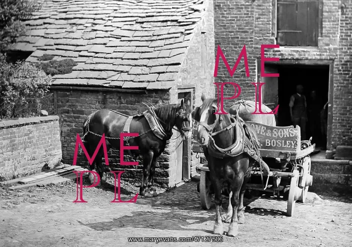  : Bosley Mill, Cheshire, early 1900s