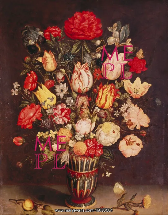 : Bosschaert, Ambrosius th : Bosschaert, Ambrosius th