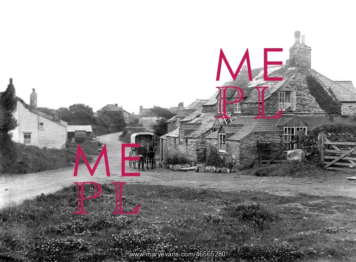  : Bossiney, the Village 1920