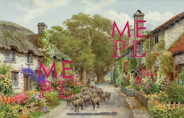  : Bossington, Exmoor, Somerset