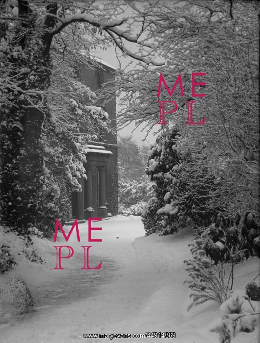 : Bostall Hurst House (in snow) : Bostall Hurst House (in snow)