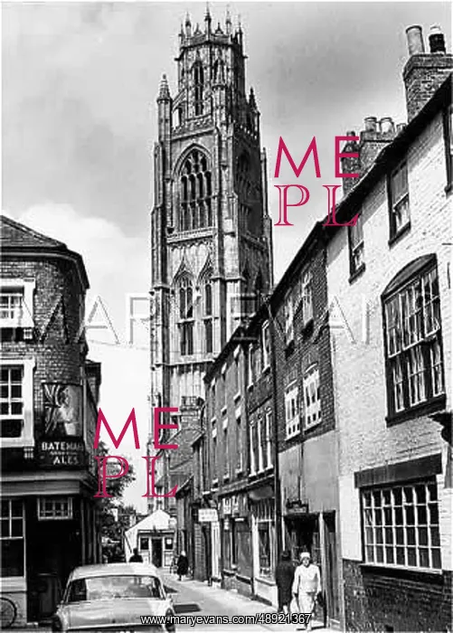 : BOSTON AND THE STUMP : BOSTON AND THE STUMP
