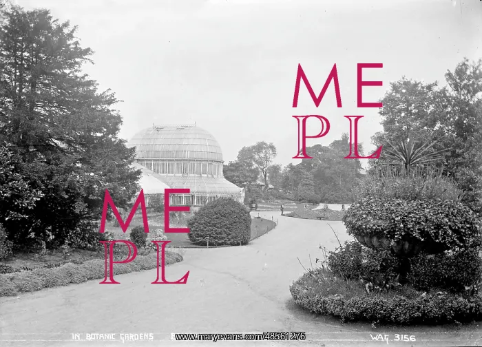 : In Botanic Gardens, Belfast : In Botanic Gardens, Belfast