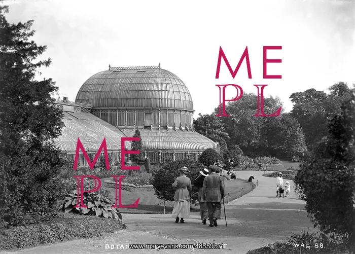 : Botanic Gardens Park, Belfast : Botanic Gardens Park, Belfast