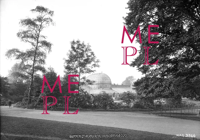 : Botanic Park, Belfast : Botanic Park, Belfast
