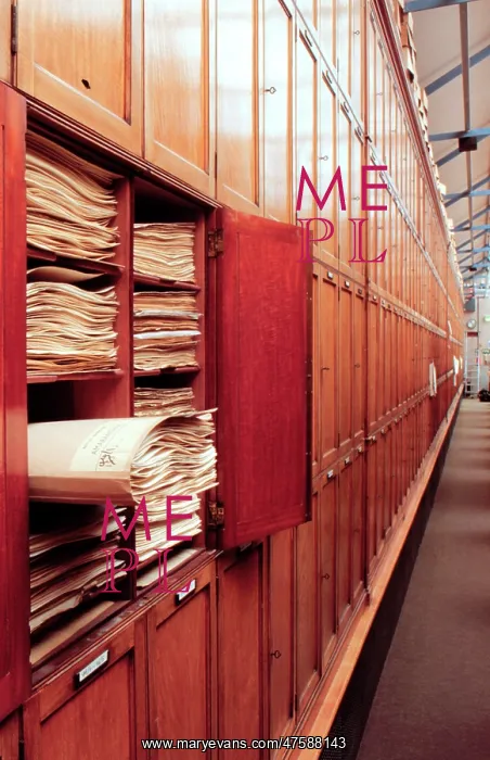: Botanical specimens : Botanical specimens