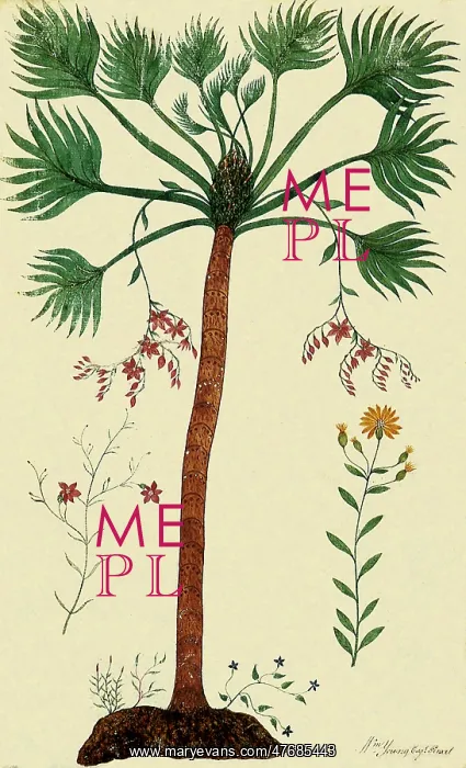  : Botanical Tree, Flowers