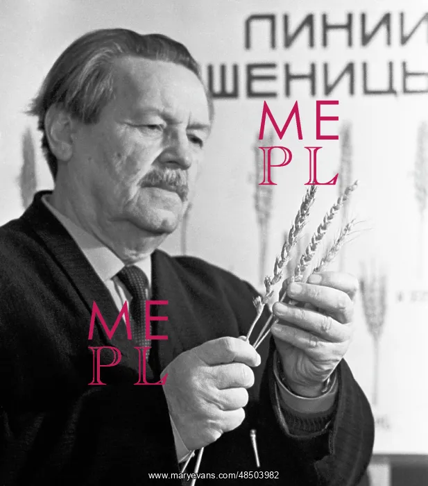 : Botanist Nikolai Tsitsin : Botanist Nikolai Tsitsin