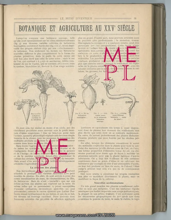 : Botany and Agriculture in the 25th Century : Botany and Agriculture in the 25th Century