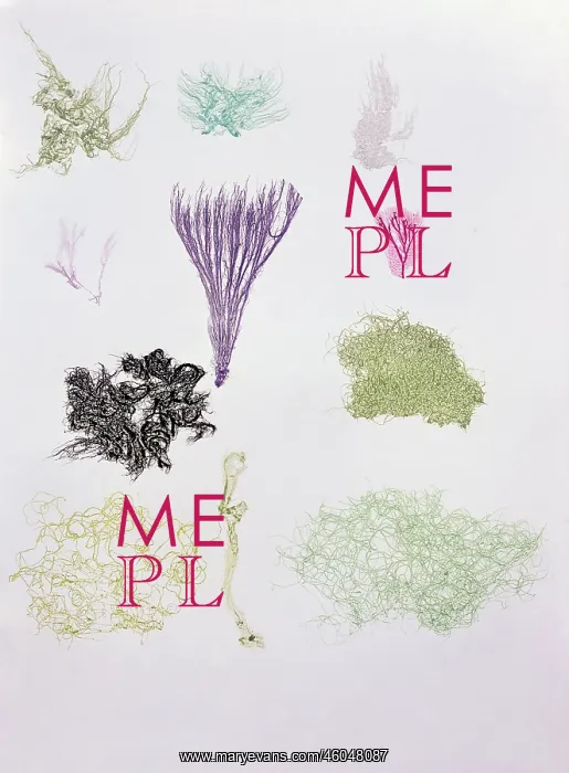 : botany, Algen der Dalmatinischen Kueste (Algae : botany, Algen der Dalmatinischen Kueste (Algae