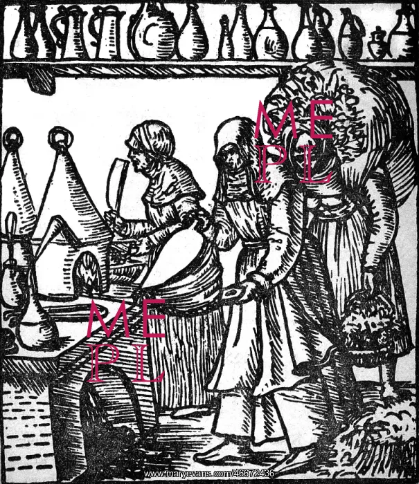  : botany, herbs, two herb woman during work, third