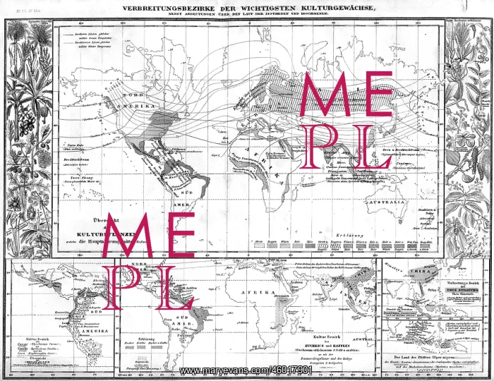 : botany, spread of the most important economic : botany, spread of the most important economic