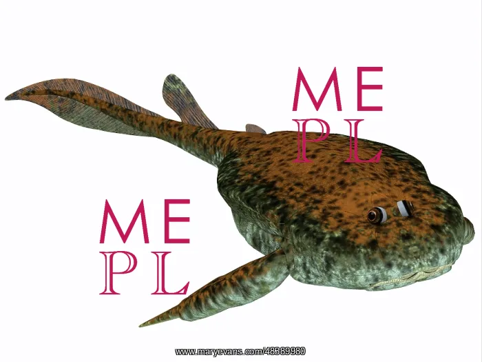 : Bothriolepis, a freshwater detritivore from the Devonian ? : Bothriolepis, a freshwater detritivore from the Devonian ?