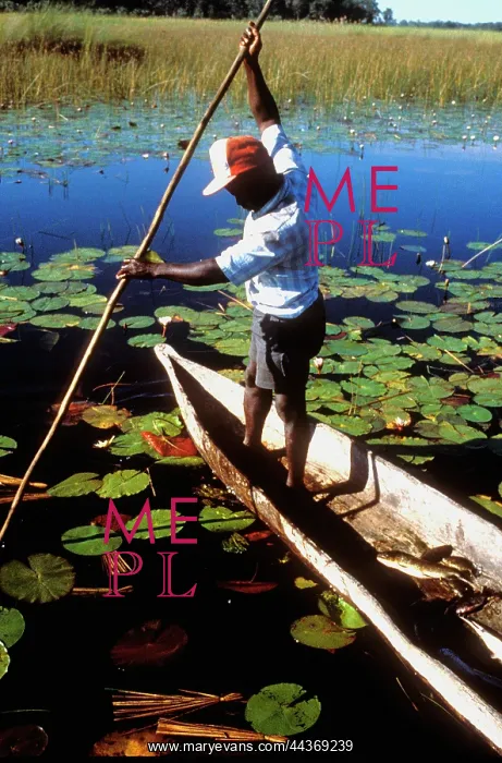 : Botswana, 1990s : Okavango Delta. photo: Paul Weinberg / South : Botswana, 1990s : Okavango Delta. photo: Paul Weinberg / South